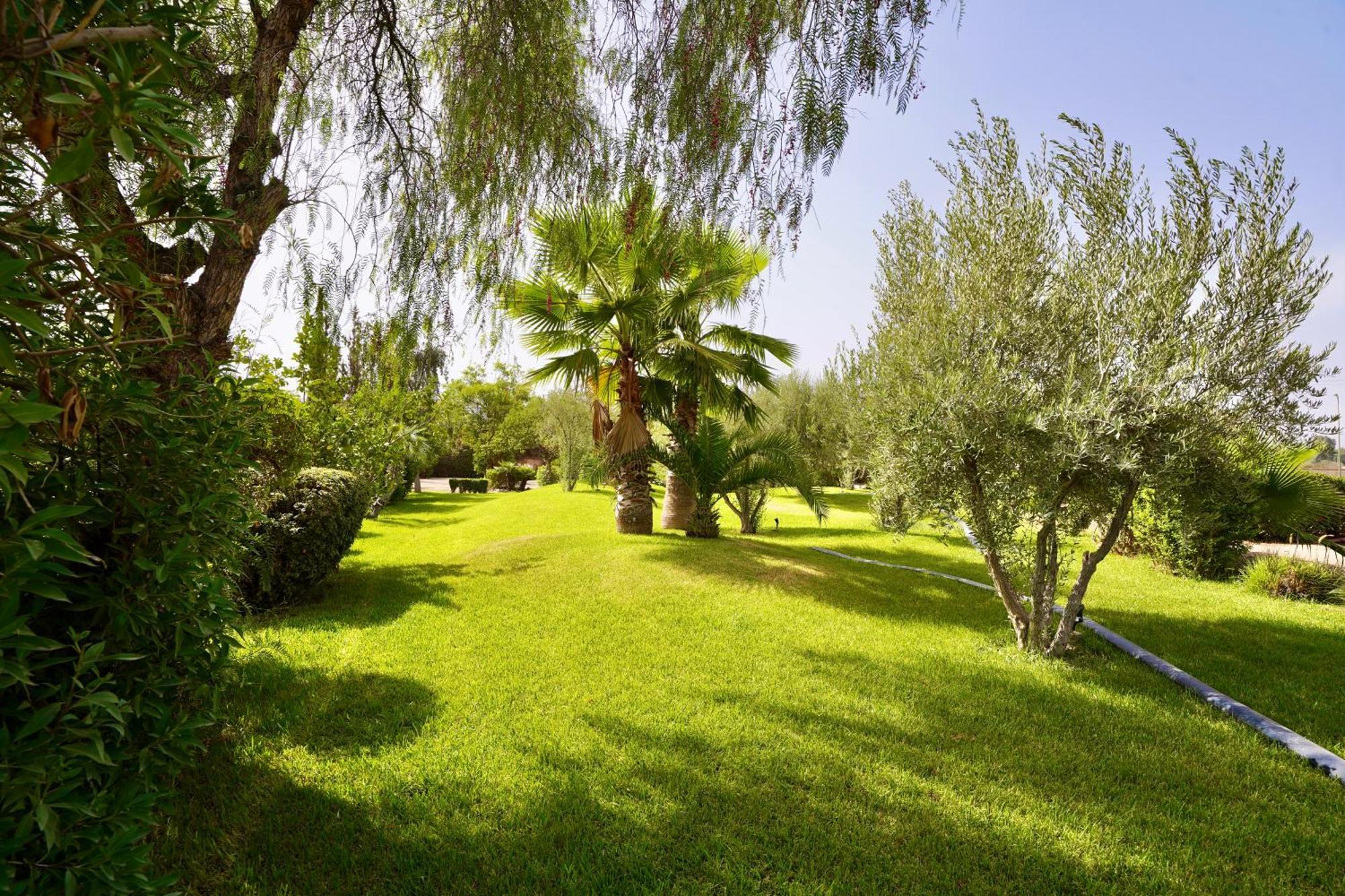 Ourika Camp Suites Hotel & Resort El Harkat Extérieur photo